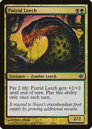 Putrid Leech [Alara Reborn] MTG Single Magic: The Gathering  | Multizone: Comics And Games