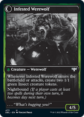 Infestation Expert // Infested Werewolf [Innistrad: Double Feature] MTG Single Magic: The Gathering  | Multizone: Comics And Games