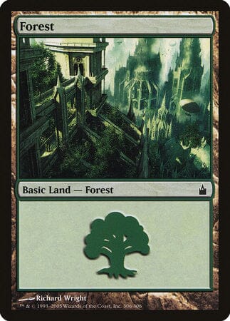 Forest (306) [Ravnica: City of Guilds] MTG Single Magic: The Gathering  | Multizone: Comics And Games