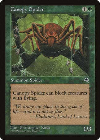 Canopy Spider [Tempest] MTG Single Magic: The Gathering  | Multizone: Comics And Games