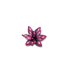 Gamers Grass Full Color Lasercut Plants Miniature Game Other Gamer Grass Alien Rosette  | Multizone: Comics And Games
