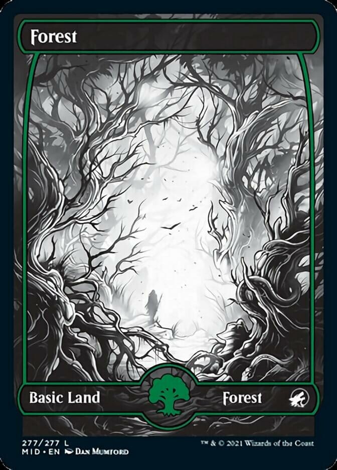 Forest (277) [Innistrad: Midnight Hunt] MTG Single Magic: The Gathering  | Multizone: Comics And Games