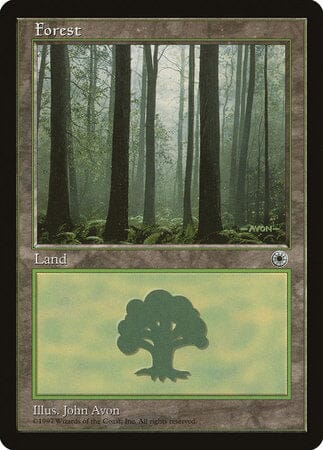 Forest (Ferns on Ground) [Portal] MTG Single Magic: The Gathering  | Multizone: Comics And Games