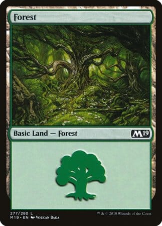Forest (277) [Core Set 2019] MTG Single Magic: The Gathering  | Multizone: Comics And Games