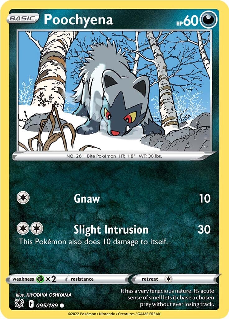 Poochyena (095/189) [Sword & Shield: Astral Radiance] Pokemon Single Pokémon  | Multizone: Comics And Games
