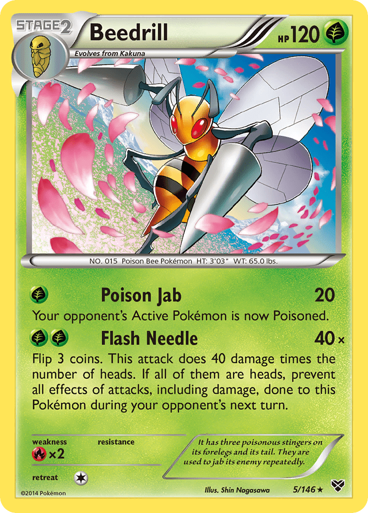Beedrill (5/146) [XY: Base Set] Pokemon Single Pokémon  | Multizone: Comics And Games