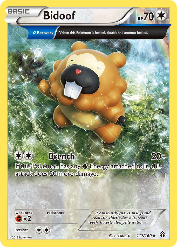 Bidoof (117/160) [XY: Primal Clash] Pokemon Single Pokémon  | Multizone: Comics And Games