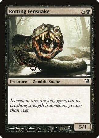 Rotting Fensnake [Innistrad] MTG Single Magic: The Gathering  | Multizone: Comics And Games