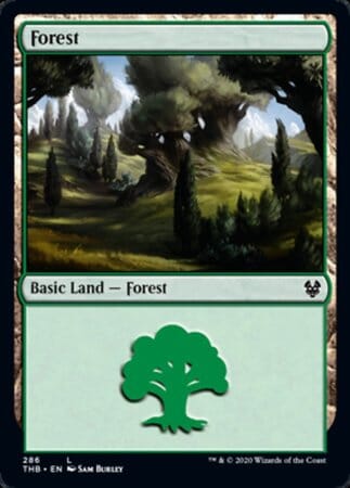 Forest (286) [Theros Beyond Death] MTG Single Magic: The Gathering  | Multizone: Comics And Games