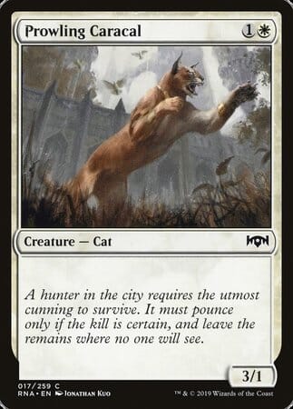 Prowling Caracal [Ravnica Allegiance] MTG Single Magic: The Gathering  | Multizone: Comics And Games