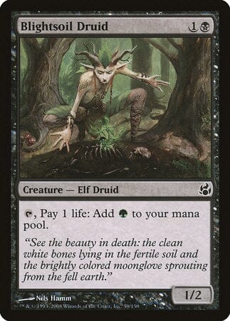 Blightsoil Druid [Morningtide] MTG Single Magic: The Gathering  | Multizone: Comics And Games