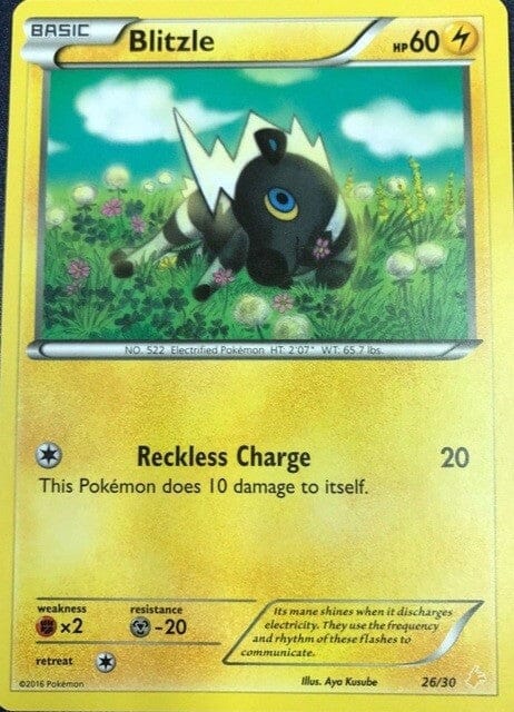 Blitzle (26/30) [XY: Trainer Kit 3 - Pikachu Libre] Pokemon Single Pokémon  | Multizone: Comics And Games