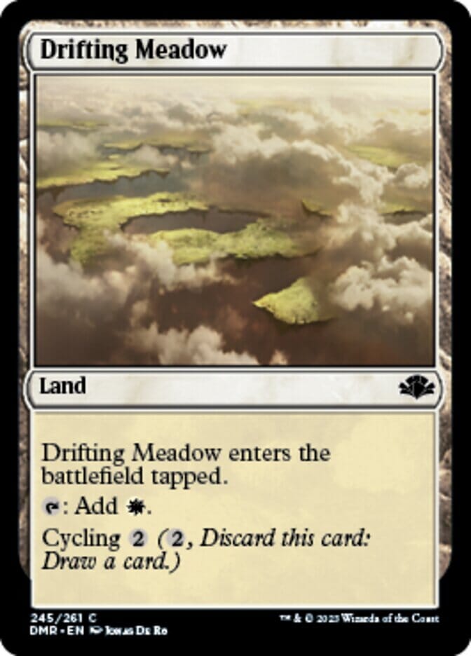 Drifting Meadow [Dominaria Remastered] MTG Single Magic: The Gathering  | Multizone: Comics And Games