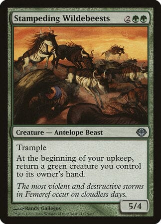 Stampeding Wildebeests [Duel Decks: Garruk vs. Liliana] MTG Single Magic: The Gathering  | Multizone: Comics And Games