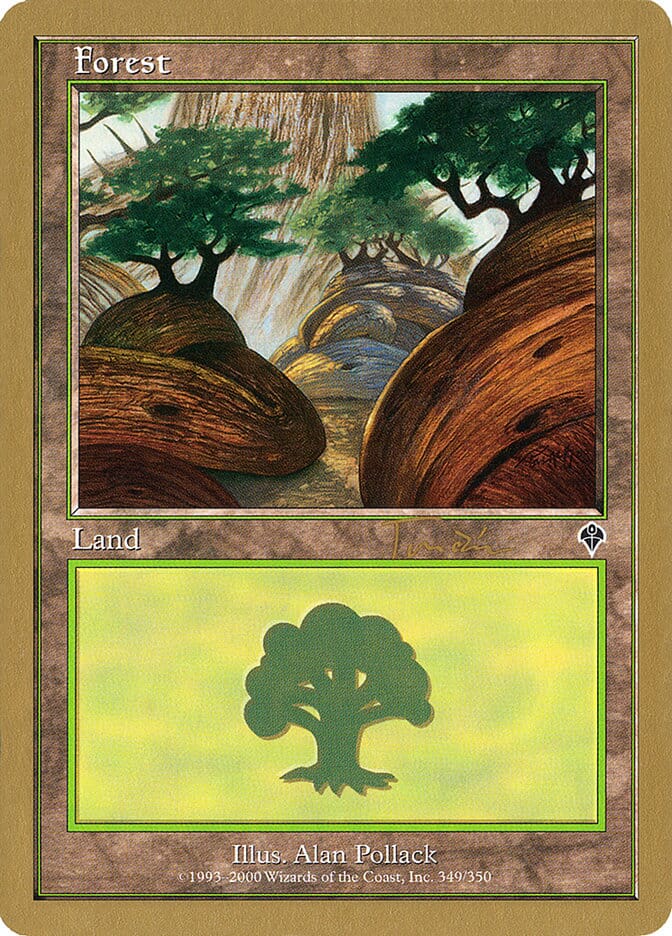 Forest (jt349a) (Jan Tomcani) [World Championship Decks 2001] MTG Single Magic: The Gathering  | Multizone: Comics And Games