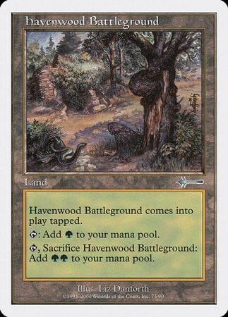 Havenwood Battleground [Beatdown Box Set] MTG Single Magic: The Gathering  | Multizone: Comics And Games