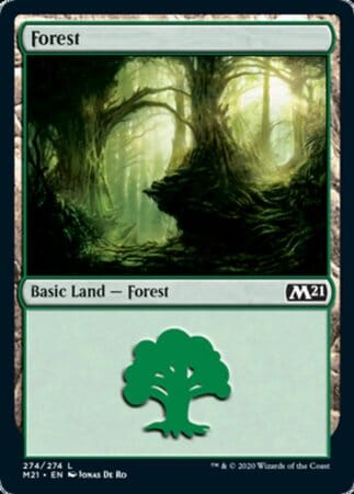 Forest (274) [Core Set 2021] MTG Single Magic: The Gathering  | Multizone: Comics And Games