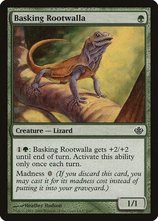 Basking Rootwalla [Duel Decks: Garruk vs. Liliana] MTG Single Magic: The Gathering  | Multizone: Comics And Games