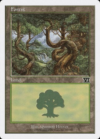 Forest (347) [Classic Sixth Edition] MTG Single Magic: The Gathering  | Multizone: Comics And Games