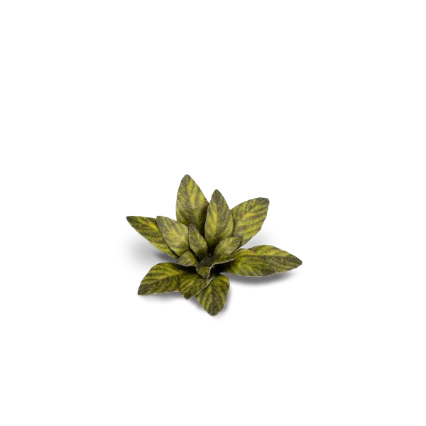 Gamers Grass Full Color Lasercut Plants Miniature Game Other Gamer Grass Dumb Cane  | Multizone: Comics And Games
