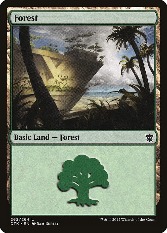 Forest (262) [Dragons of Tarkir] MTG Single Magic: The Gathering  | Multizone: Comics And Games