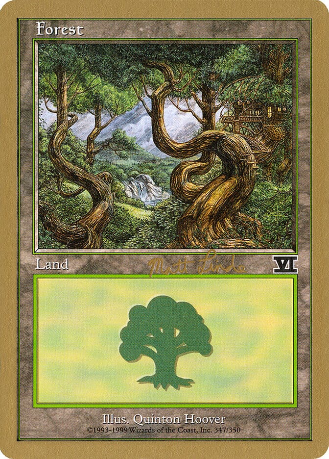 Forest (ml347b) (Matt Linde) [World Championship Decks 1999] MTG Single Magic: The Gathering  | Multizone: Comics And Games