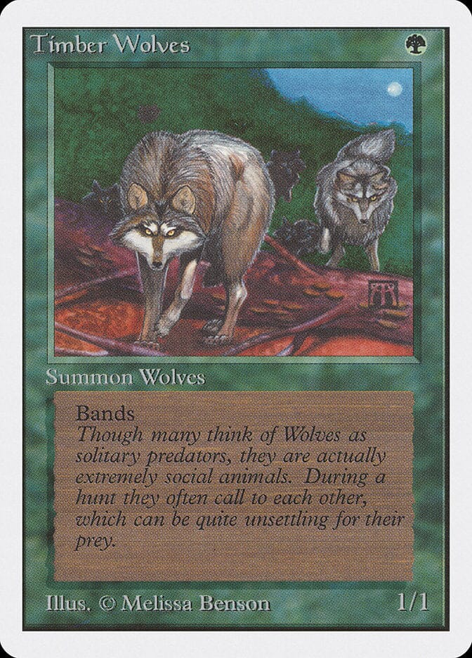 Timber Wolves [Unlimited Edition] MTG Single Magic: The Gathering  | Multizone: Comics And Games