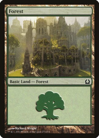 Forest (273) [Return to Ravnica] MTG Single Magic: The Gathering  | Multizone: Comics And Games