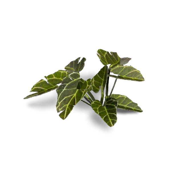 Gamers Grass Full Color Lasercut Plants Miniature Game Other Gamer Grass Dumb Cane  | Multizone: Comics And Games