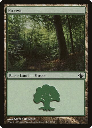 Forest (30) [Duel Decks: Garruk vs. Liliana] MTG Single Magic: The Gathering  | Multizone: Comics And Games
