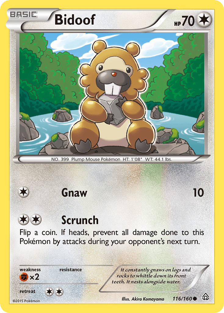 Bidoof (116/160) [XY: Primal Clash] Pokemon Single Pokémon  | Multizone: Comics And Games