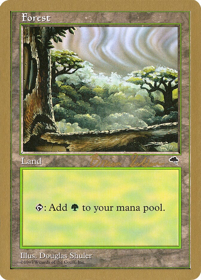 Forest (bs349) (Brian Selden) [World Championship Decks 1998] MTG Single Magic: The Gathering  | Multizone: Comics And Games