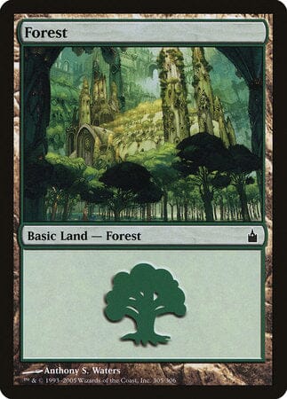 Forest (305) [Ravnica: City of Guilds] MTG Single Magic: The Gathering  | Multizone: Comics And Games