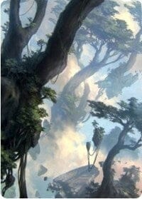 Forest 1 Art Card [Zendikar Rising Art Series] MTG Single Magic: The Gathering  | Multizone: Comics And Games