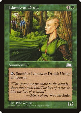 Llanowar Druid [Weatherlight] MTG Single Magic: The Gathering  | Multizone: Comics And Games