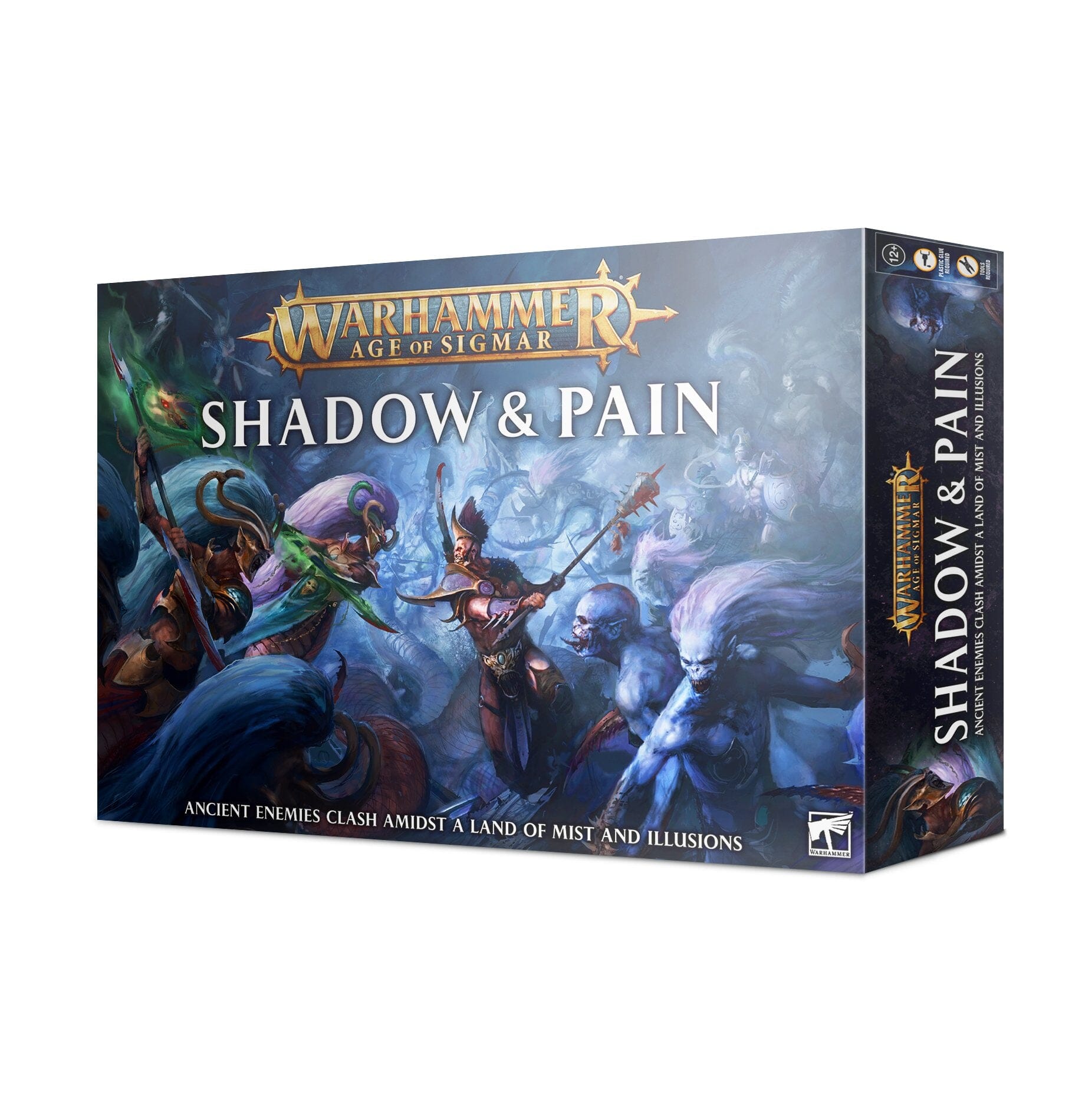 Age of Sigmar: Shadow and Pain Warhammer AOS Games Workshop  | Multizone: Comics And Games