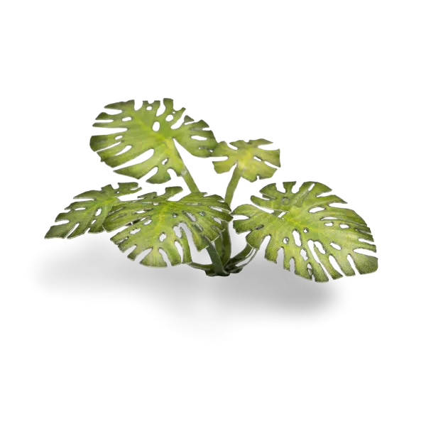 Gamers Grass Full Color Lasercut Plants Miniature Game Other Gamer Grass Dumb Cane  | Multizone: Comics And Games